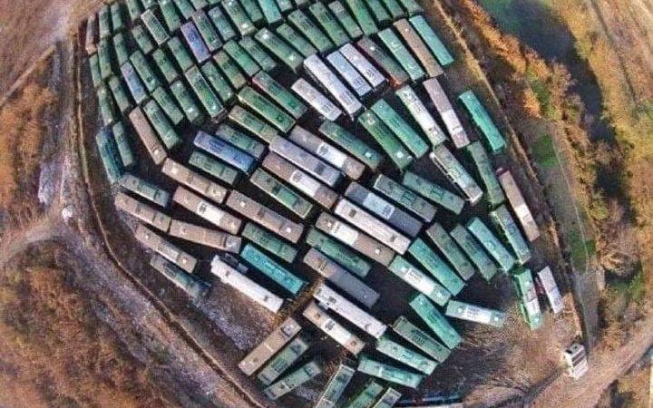 Can You Get This Simple Insight Test Right?