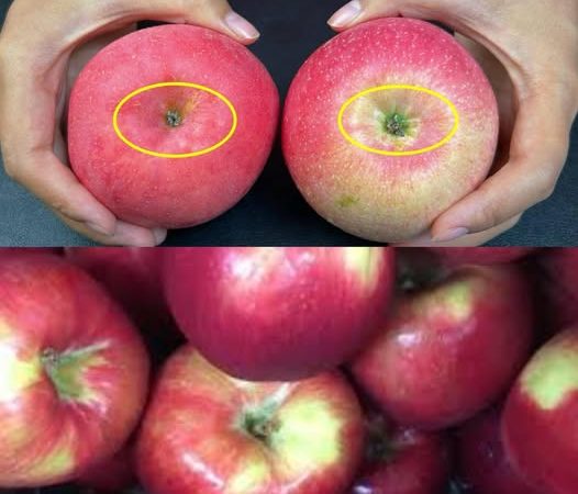 Tips for Selecting the Best Apples! One Second to Identify Crispy and Sweet Varieties