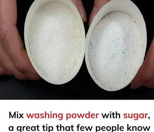 Mix washing powder with sugar, a great tip that few people know